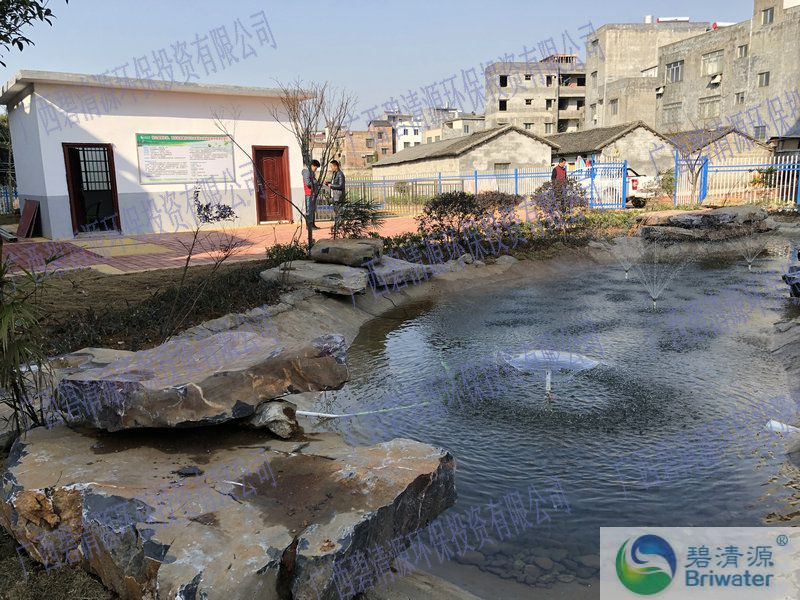 广西某乡镇污水处理站(图1)
