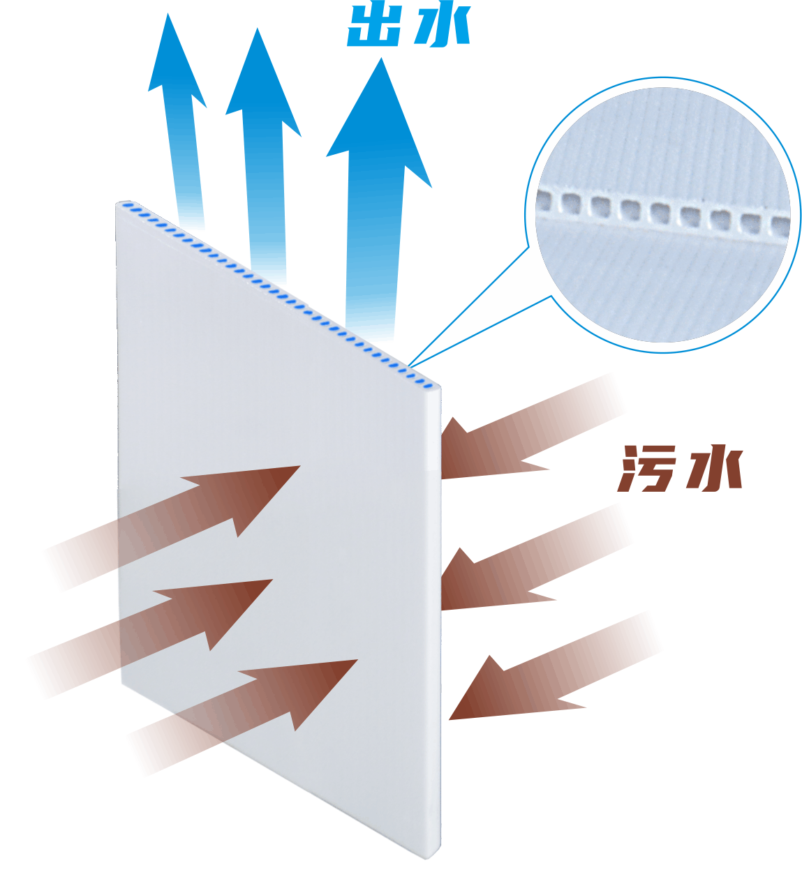 微信图片_20240924015113.png