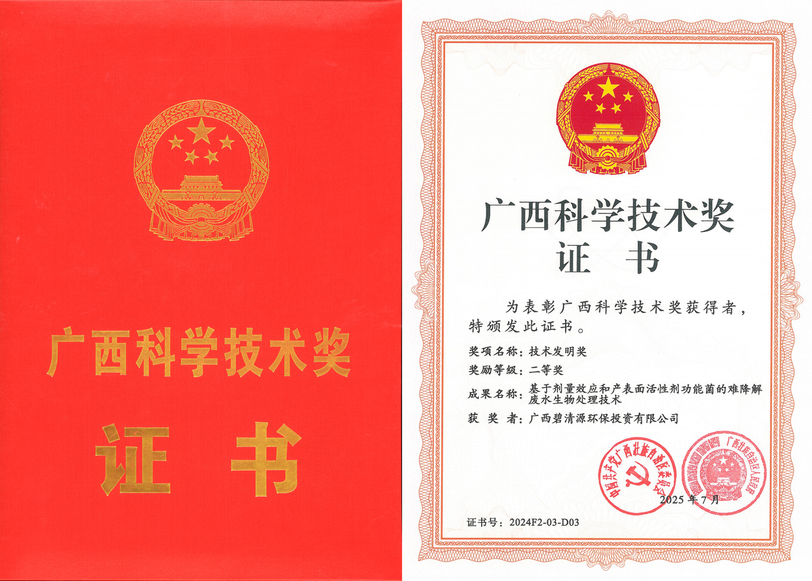 广西科技进步发明奖二等奖 拷贝.jpg