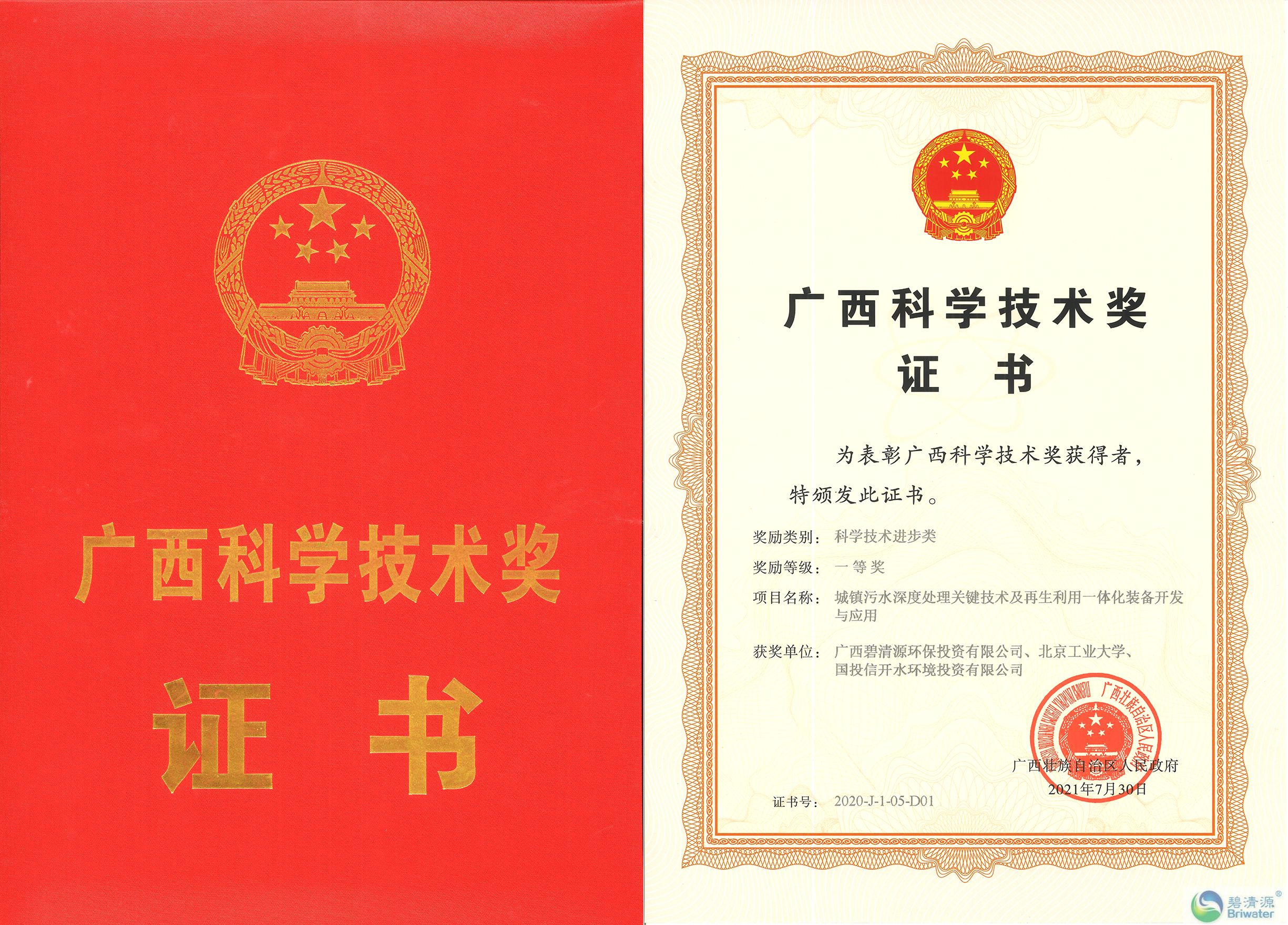 广西科技进步奖一等奖证书-合s.jpg