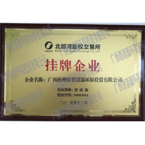 Beibu bay stock exchange listed enterpri