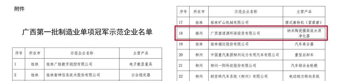 碧清源入选广西第一批制造业单项冠军示范企业名单(图2)
